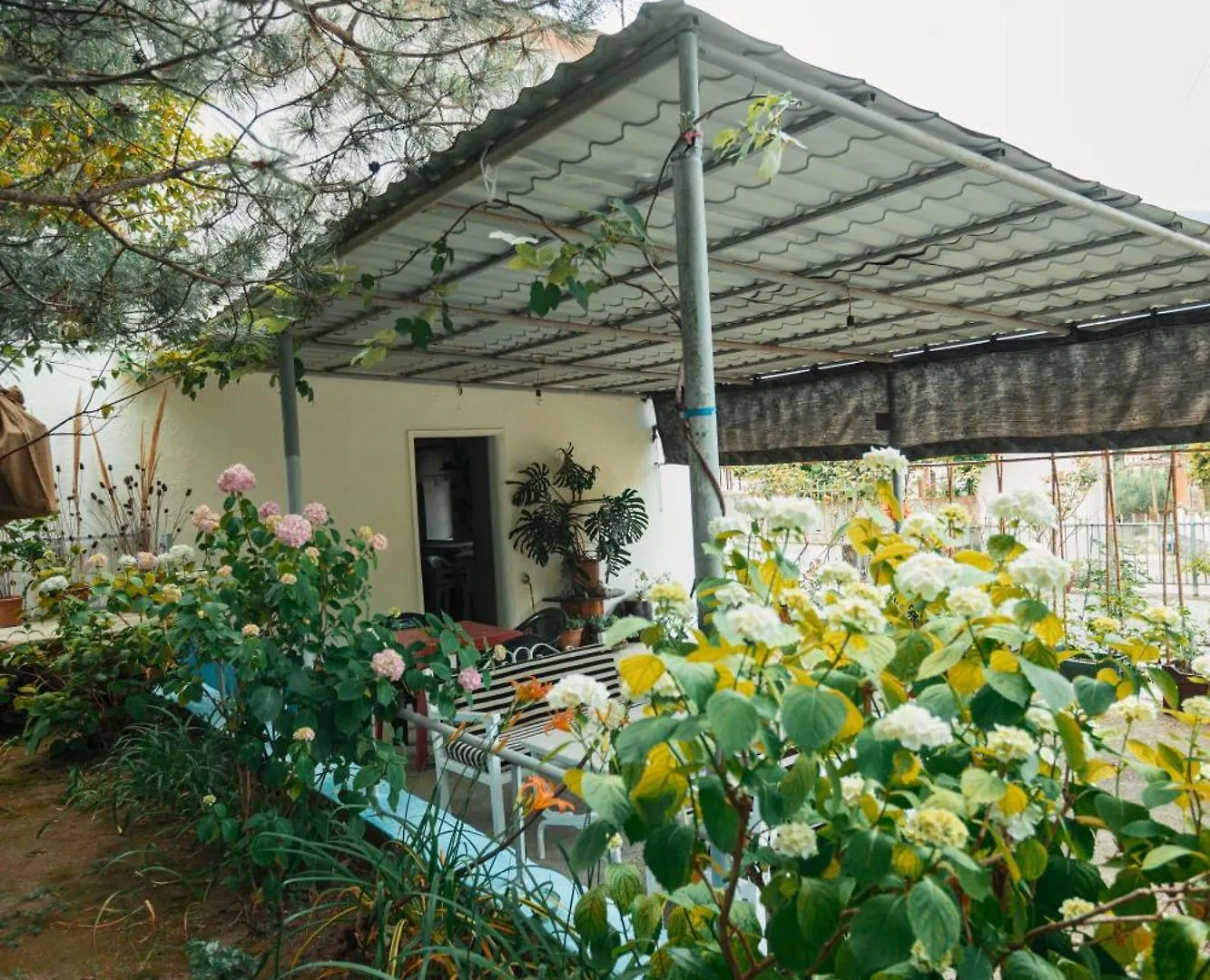 Guesthouse Near Llogara National Park Dukat Apartment