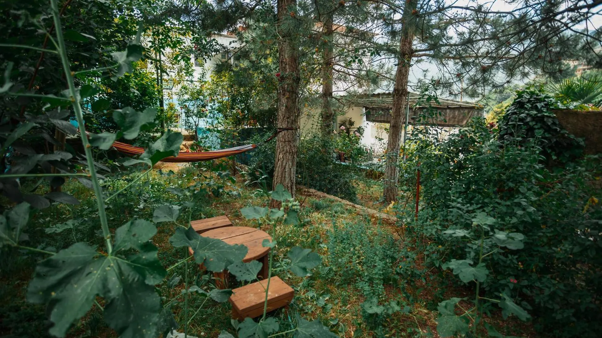 Guesthouse Near Llogara National Park Dukat Apartment