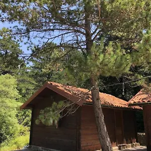 The Old Man's Chalet Chalet