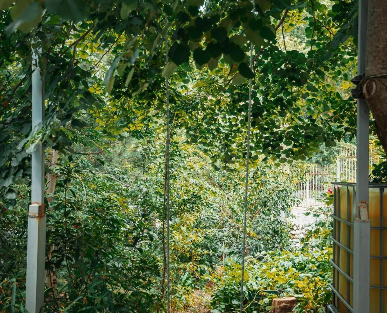 公寓 Guesthouse Near Llogara National Park Dukat 阿尔巴尼亚