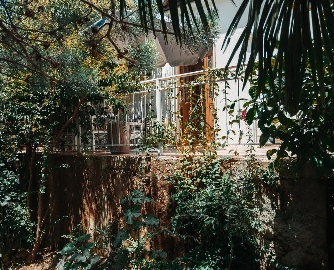 公寓 Guesthouse Near Llogara National Park Dukat